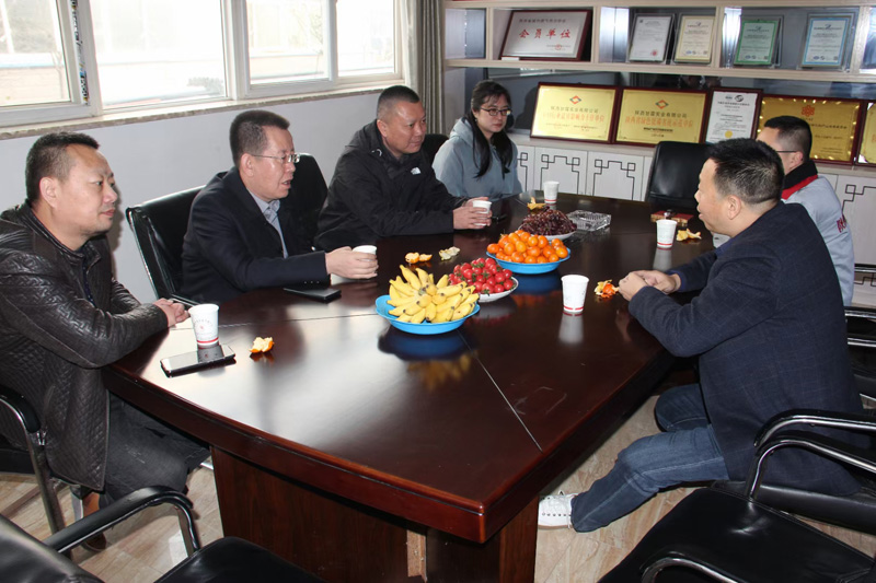 新疆天業(yè)集團公司董事長李河、譚新民等人蒞臨陜西甘霖實業(yè)公司考察指導工作